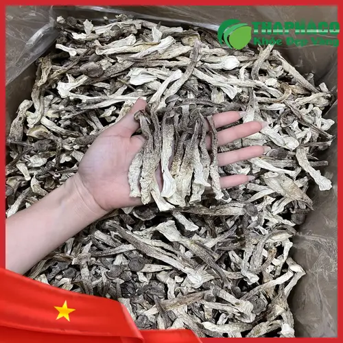 Nấm lộc nhung khô chất lượng cao được đóng gói cẩn thận tại THAPHACO