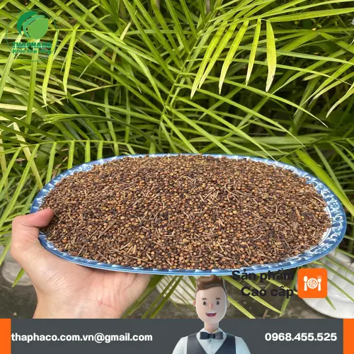 Quy trình sấy Nụ Vối khô tại THAPHACO