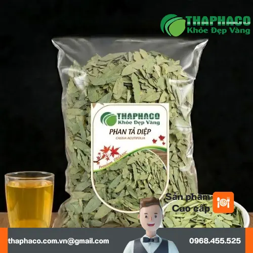 Phan Tả Diệp khô THAPHACO chất lượng cao