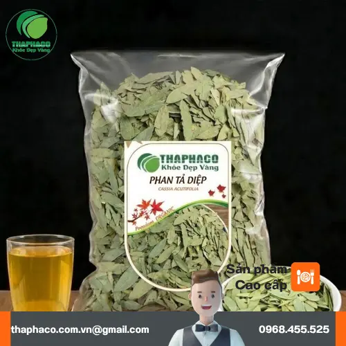 Phan Tả Diệp và đặc điểm nhận dạng