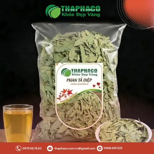 Phan Tả Diệp sấy khô chất lượng cao tại THAPHACO