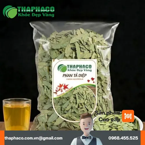 Phan Tả Diệp là gì và nguồn gốc