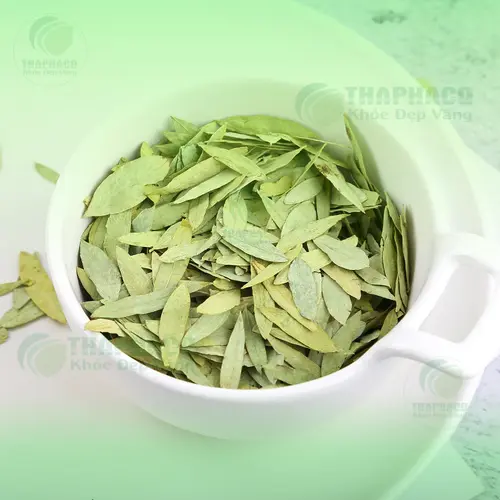 THAPHACO cam kết chất lượng Phan Tả Diệp