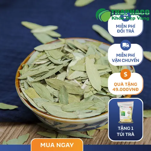 Dùng Phan Tả Diệp giảm cân sai cách