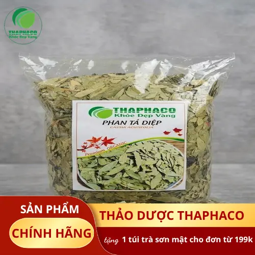 Phụ nữ mang thai và cho con bú không nên dùng Phan Tả Diệp.