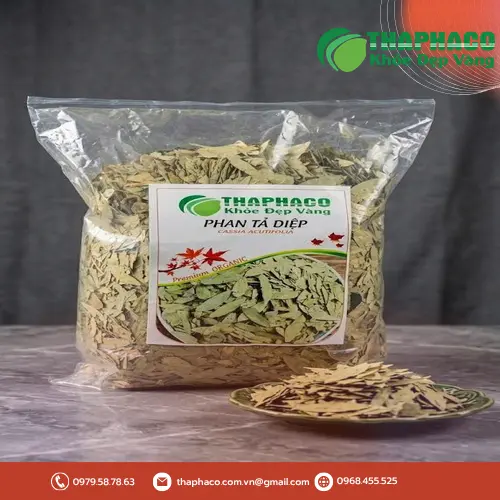 Kho dược liệu THAPHACO tại TP.HCM