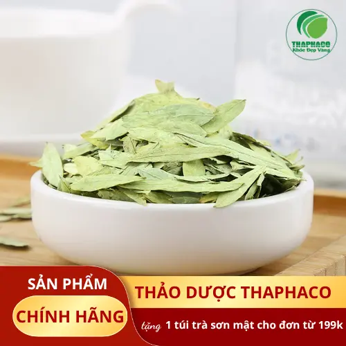 Lưu ý khi sử dụng Phan Tả Diệp