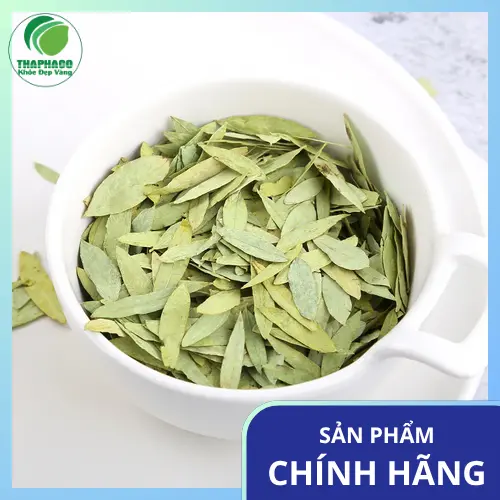 Uống đủ nước khi dùng Phan Tả Diệp
