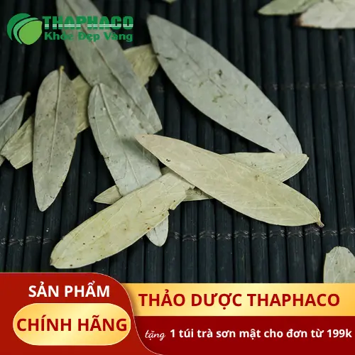 Cách dùng Phan Tả Diệp đúng liều lượng