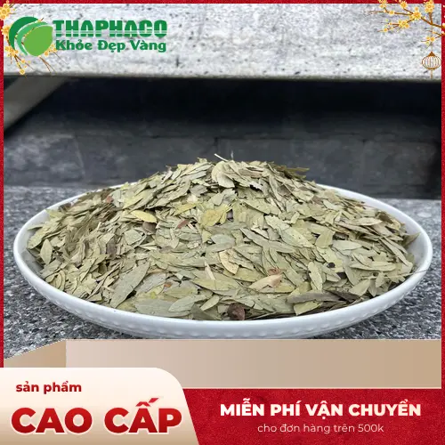 Sử dụng Phan Tả Diệp đúng liều lượng và thời gian để đảm bảo an toàn.