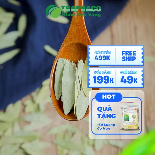 Sử dụng Phan Tả Diệp đúng cách để đạt hiệu quả