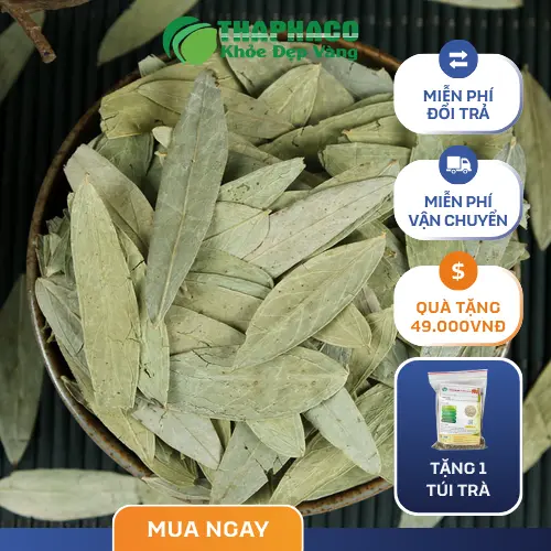 Nơi mua Phan Tả Diệp uy tín và chất lượng tại THAPHACO