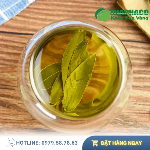 Phan Tả Diệp khô chuẩn cho pha trà