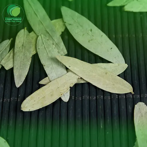 Cách dùng Phan Tả Diệp khô