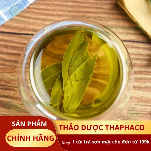 Đối tượng cần thận trọng khi dùng Phan Tả Diệp