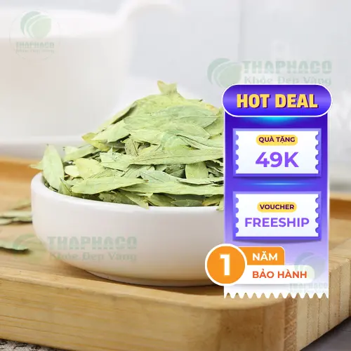 Bảo quản Phan Tả Diệp khô đúng cách tại nhà