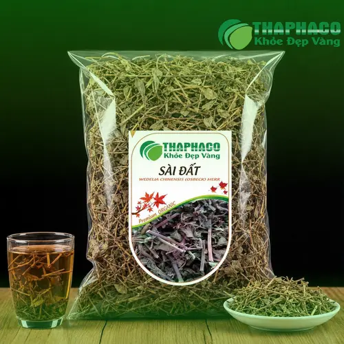 Hình ảnh cây Sài Đất tươi xanh trên đất