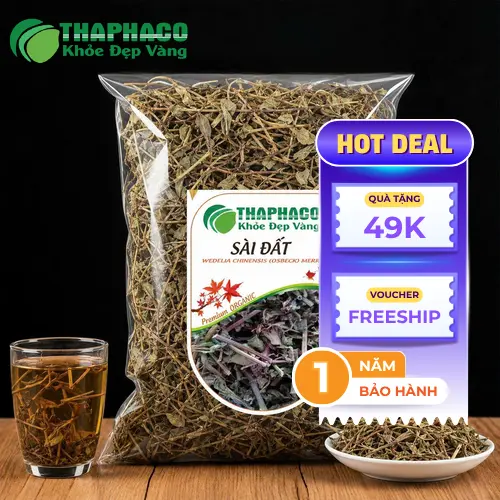 Hình ảnh cây Sài Đất khô THAPHACO