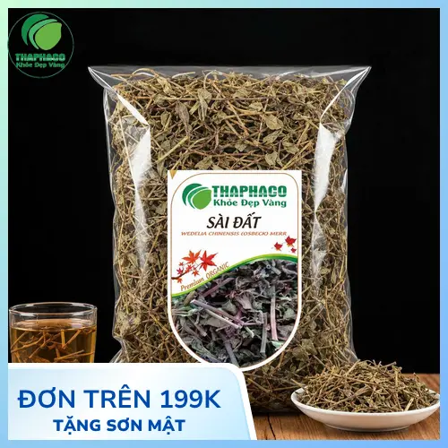 Hình ảnh cây sài đất tươi và khô