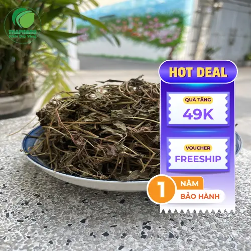 Phụ nữ mang thai và trẻ nhỏ cần thận trọng khi dùng sài đất