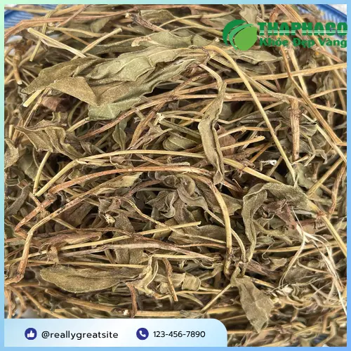 Sài Đất khô chất lượng được sấy khô tự nhiên.