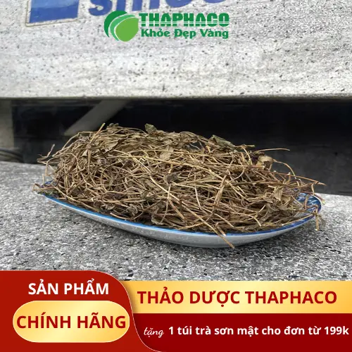 Sài đất tươi được sử dụng trong dân gian