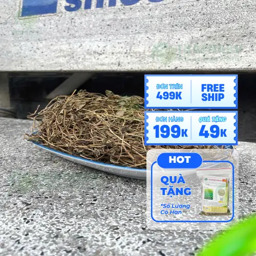 Bảng giá sài đất khô 1kg và 500g
