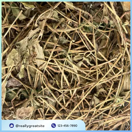Nước Sài Đất đã sắc xong, chuẩn bị sử dụng