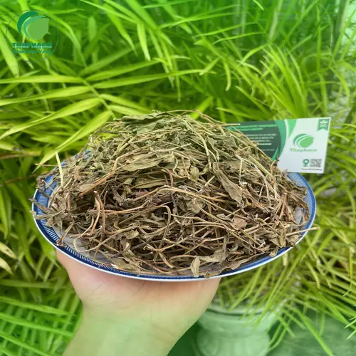 Sài đất khô được đóng gói cẩn thận tại THAPHACO