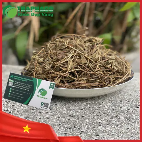 Sài đất khô chất lượng cao từ THAPHACO