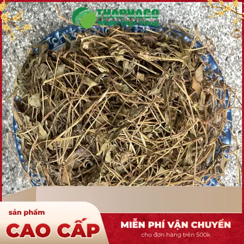 Sản phẩm Sài Đất khô chất lượng tại THAPHACO