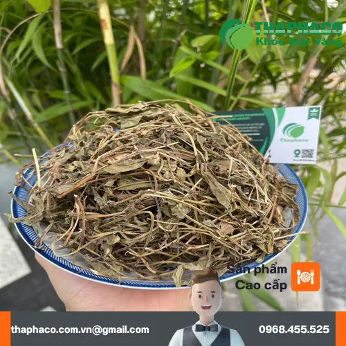 Sài đất khô chất lượng tại THAPHACO