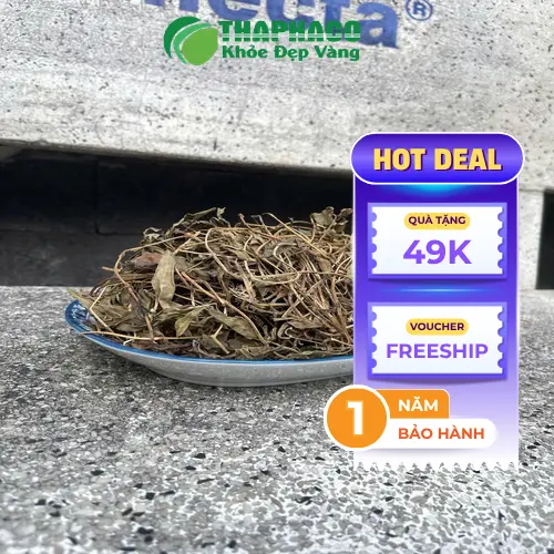 Bảo quản sài đất khô đúng cách