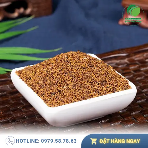 Đặc điểm hình thái hạt Thỏ Ty Tử