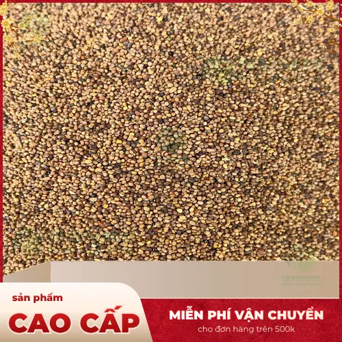 Người phụ nữ đang đọc sách để tìm hiểu về dược liệu