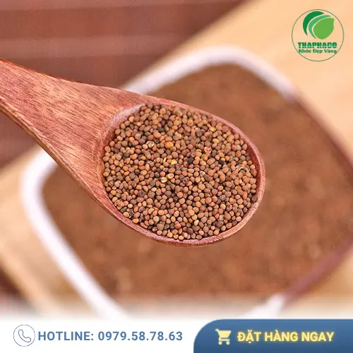 Cách chọn Thỏ Ty Tử khô chất lượng, phân biệt dây tơ hồng