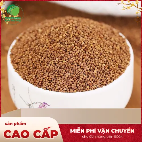 Các công dụng của Thỏ Ty Tử trong Y Học Cổ Truyền