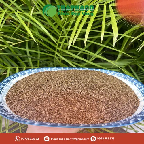 Cốc trà Thỏ Ty Tử đã được sắc