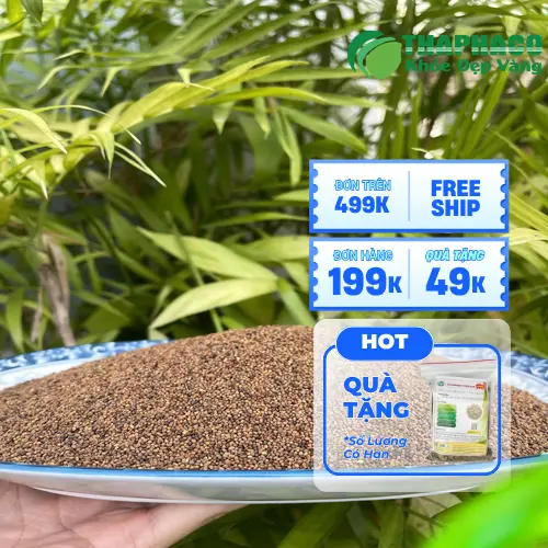 Địa chỉ mua Thỏ Ty Tử khô uy tín THAPHACO
