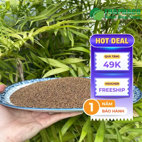 Thỏ Ty Tử chất lượng tại THAPHACO