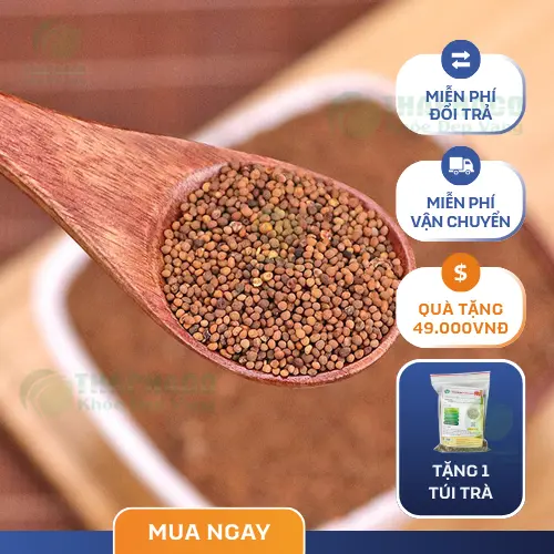 Chọn mua Thỏ Ty Tử uy tín tại THAPHACO