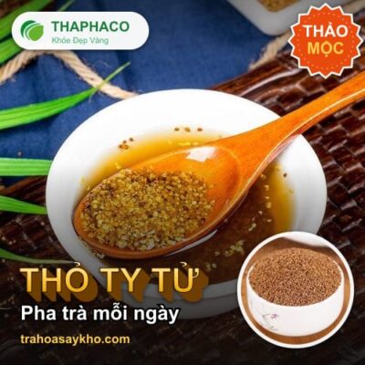 Thỏ ty tử - Thỏ Ty Tử Pha Trà: Cách Dùng Nhẹ Nhàng Mỗi Ngày