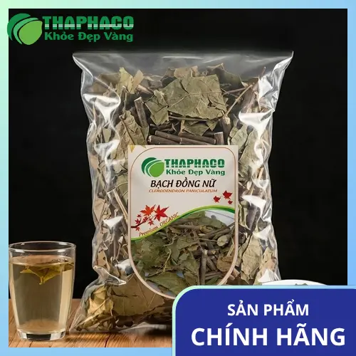 Bạch đồng nữ - Thảo dược quý trong y học cổ truyền