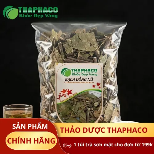 Hình ảnh tổng quan cây Bạch Đồng Nữ