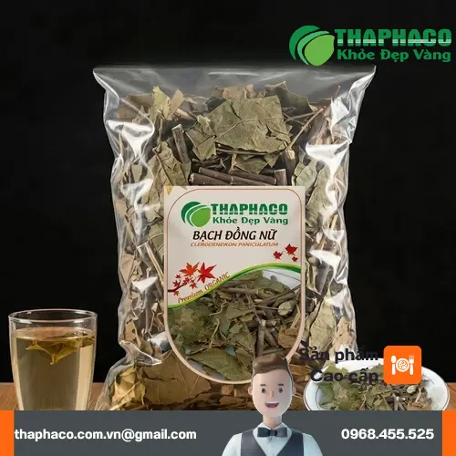 Hình ảnh cây bạch đồng nữ trong tự nhiên
