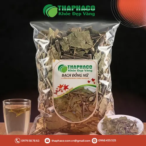 Hình ảnh cây bạch đồng nữ khô nguyên bản tại THAPHACO