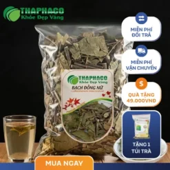 Mua Bạch Đồng Nữ Sấy Khô Giá Tốt, Chất Lượng Tại TP.HCM