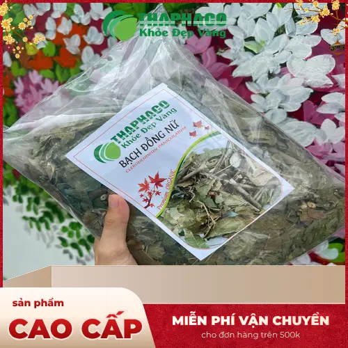 Lá và hoa của cây bạch đồng nữ