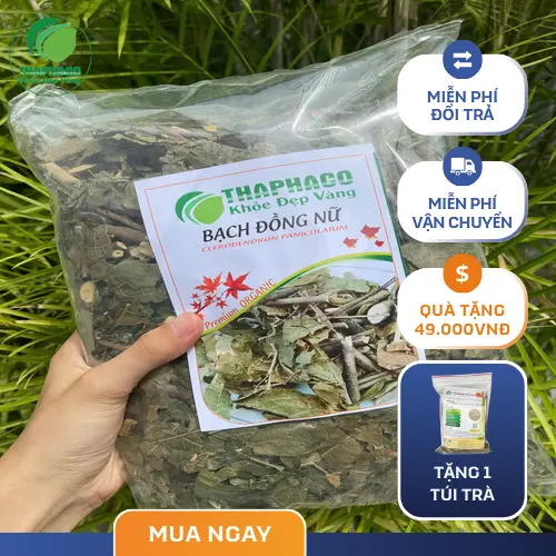 Công dụng hỗ trợ của Bạch Đồng Nữ