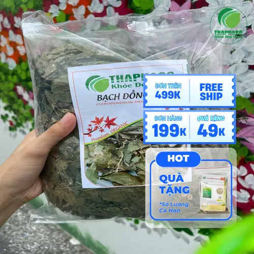 Hình ảnh bạch đồng nữ khô được chế biến và bảo quản đúng cách